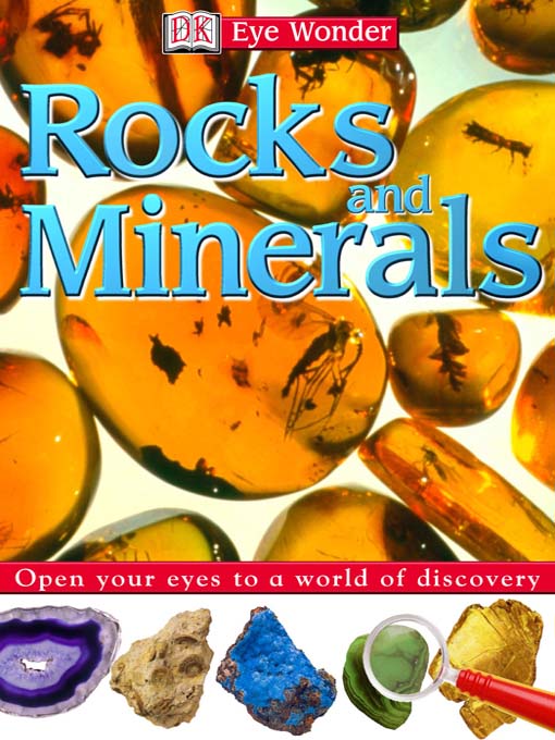 Title details for Rocks and Minerals by Caroline Bingham - Wait list